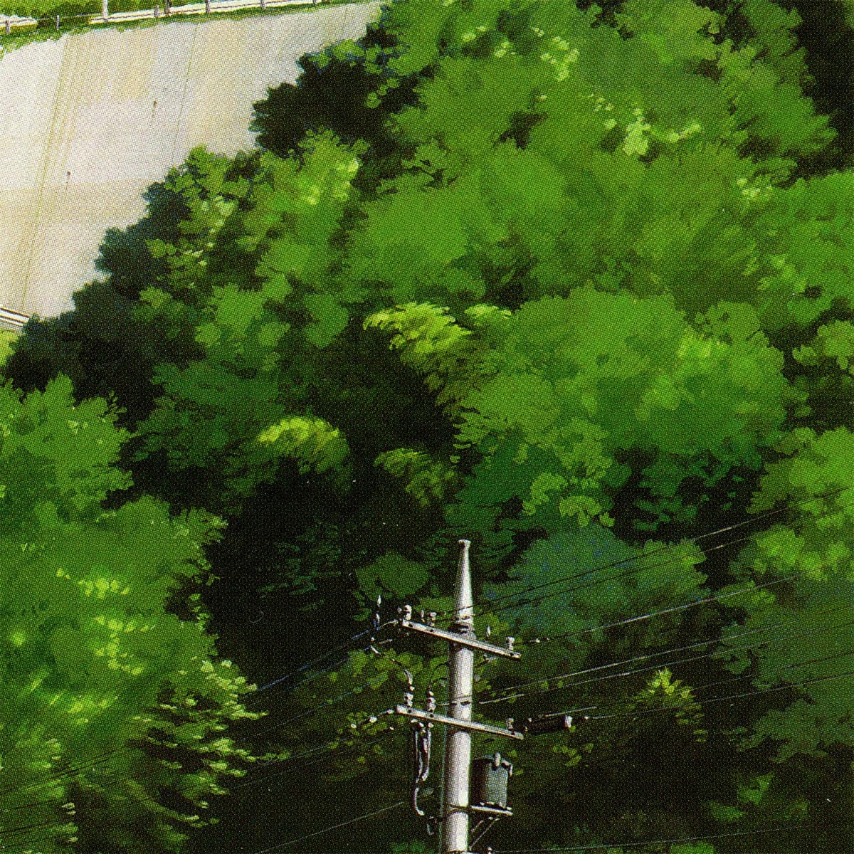 signal
